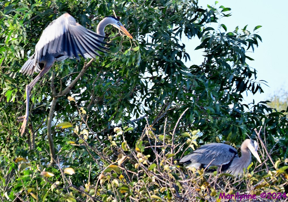 DSC_7616_001.JPG