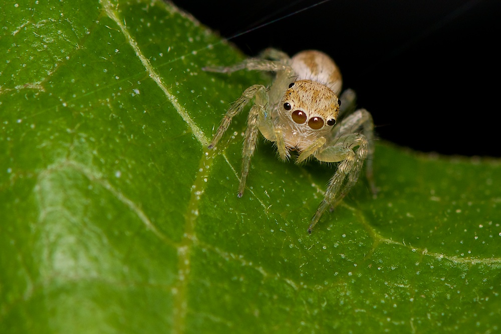 DSC_7621.jpg
