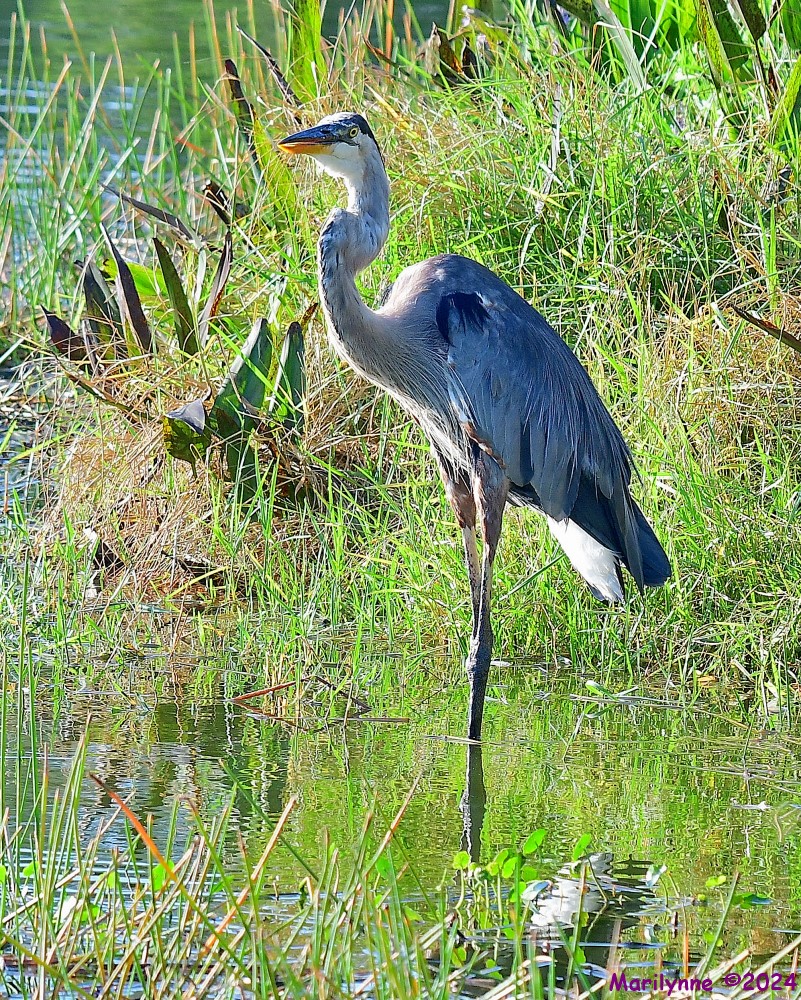 DSC_7622_001.JPG