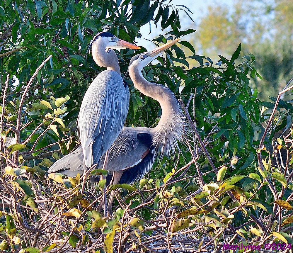 DSC_7624_001.JPG