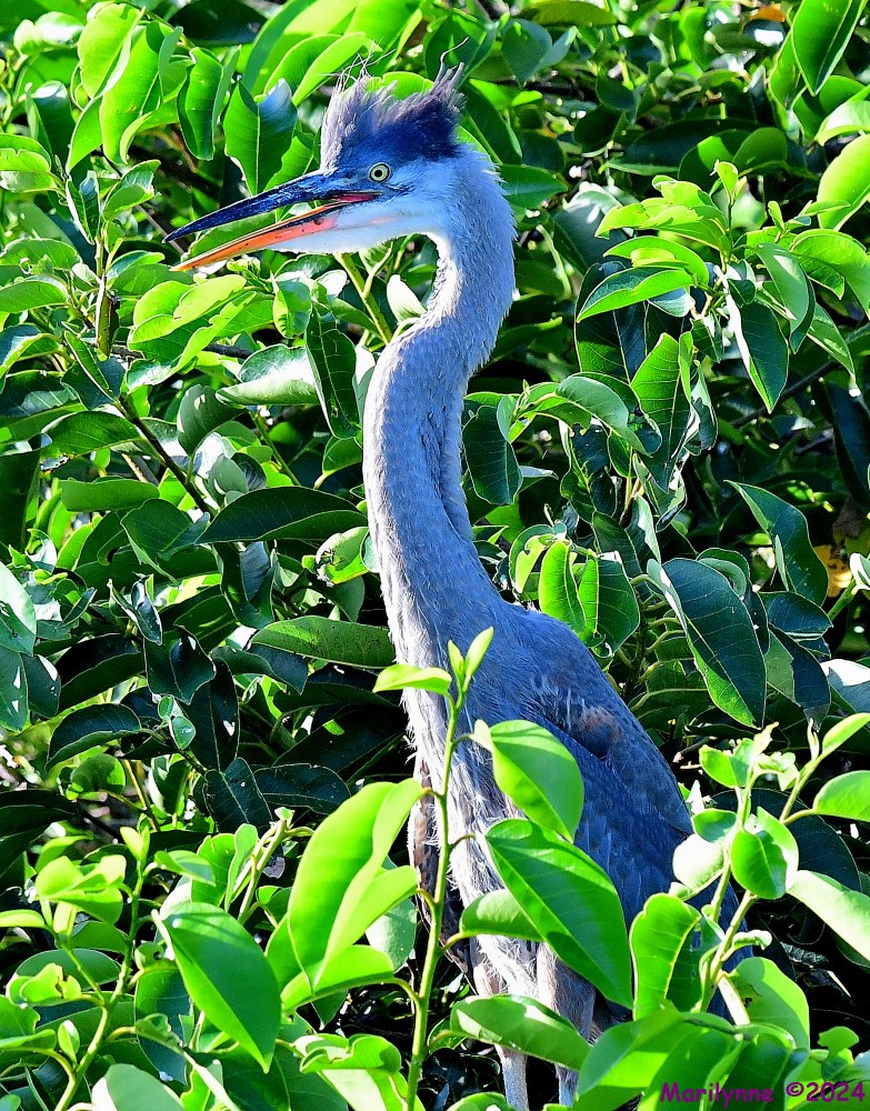 DSC_7624_001.JPG