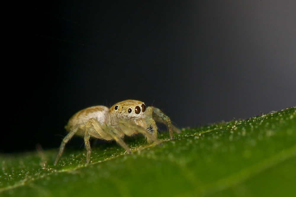 DSC_7625.jpg