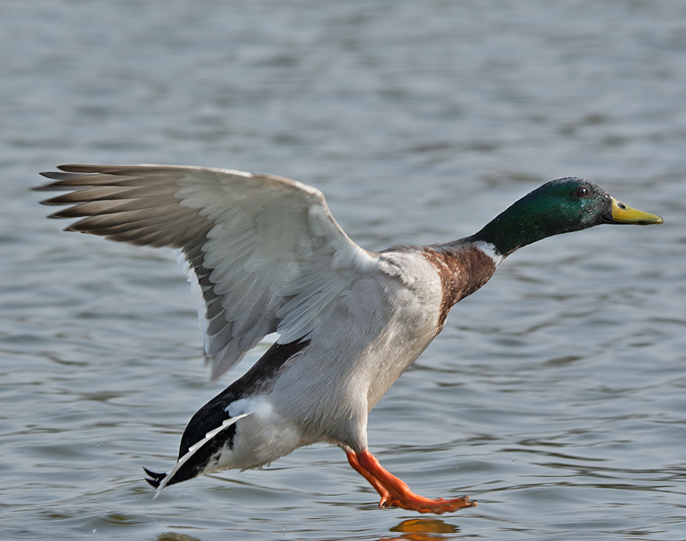 DSC_7625.jpg