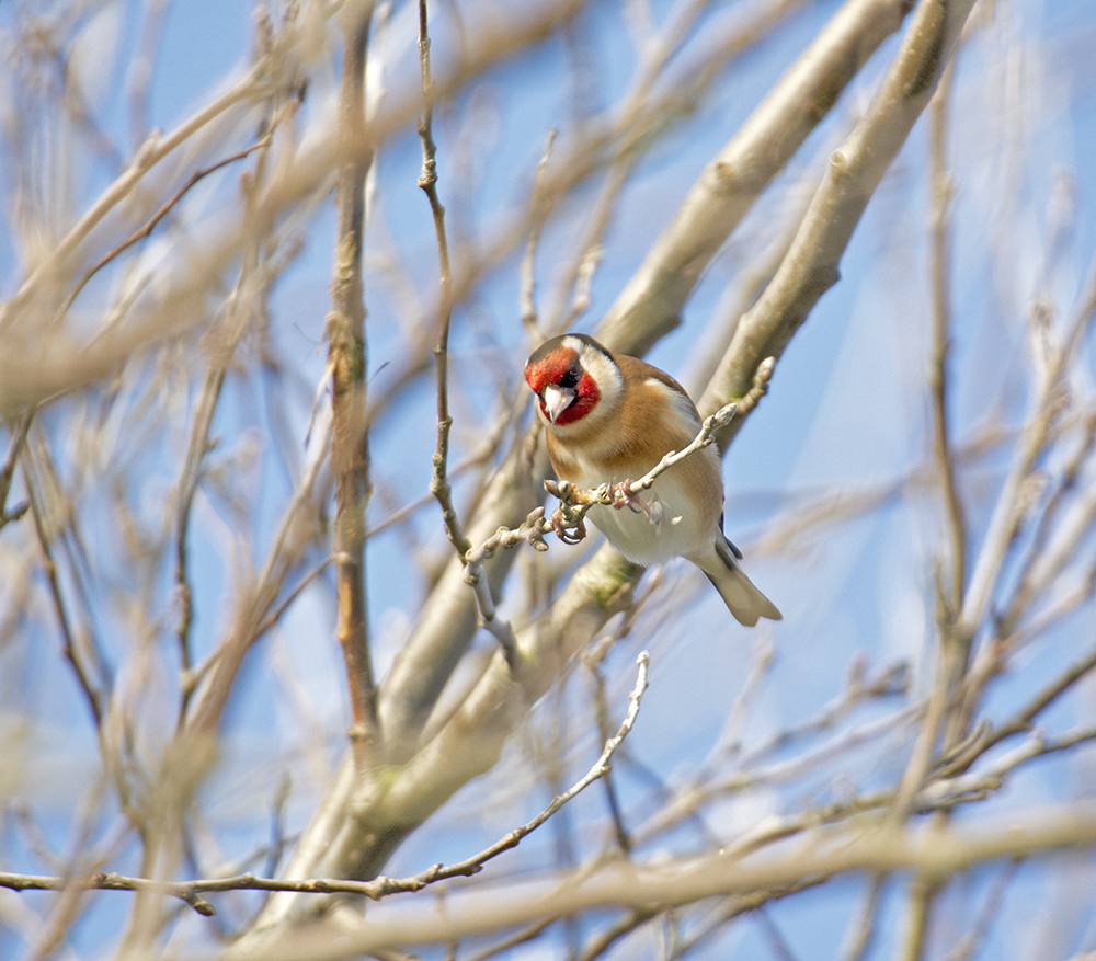 DSC_7626.jpg