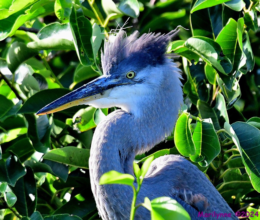 DSC_7626_001.JPG