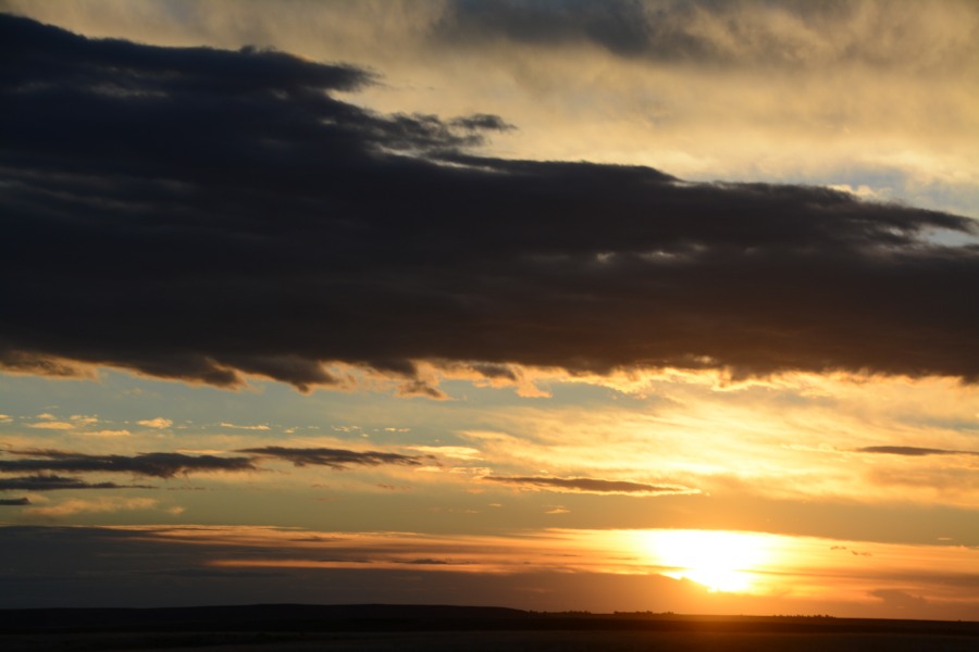 DSC_7626_01.JPG
