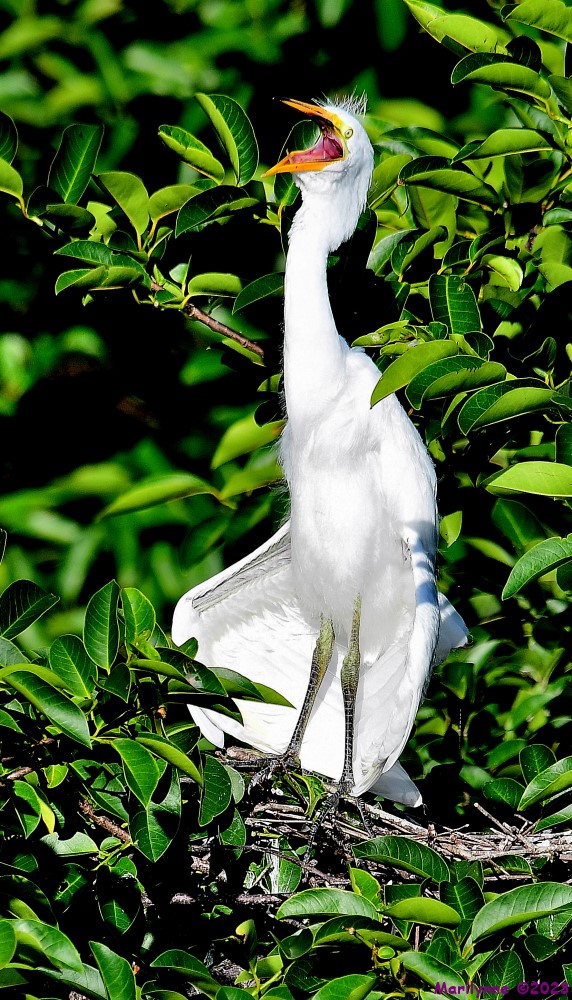 DSC_7627_001.JPG