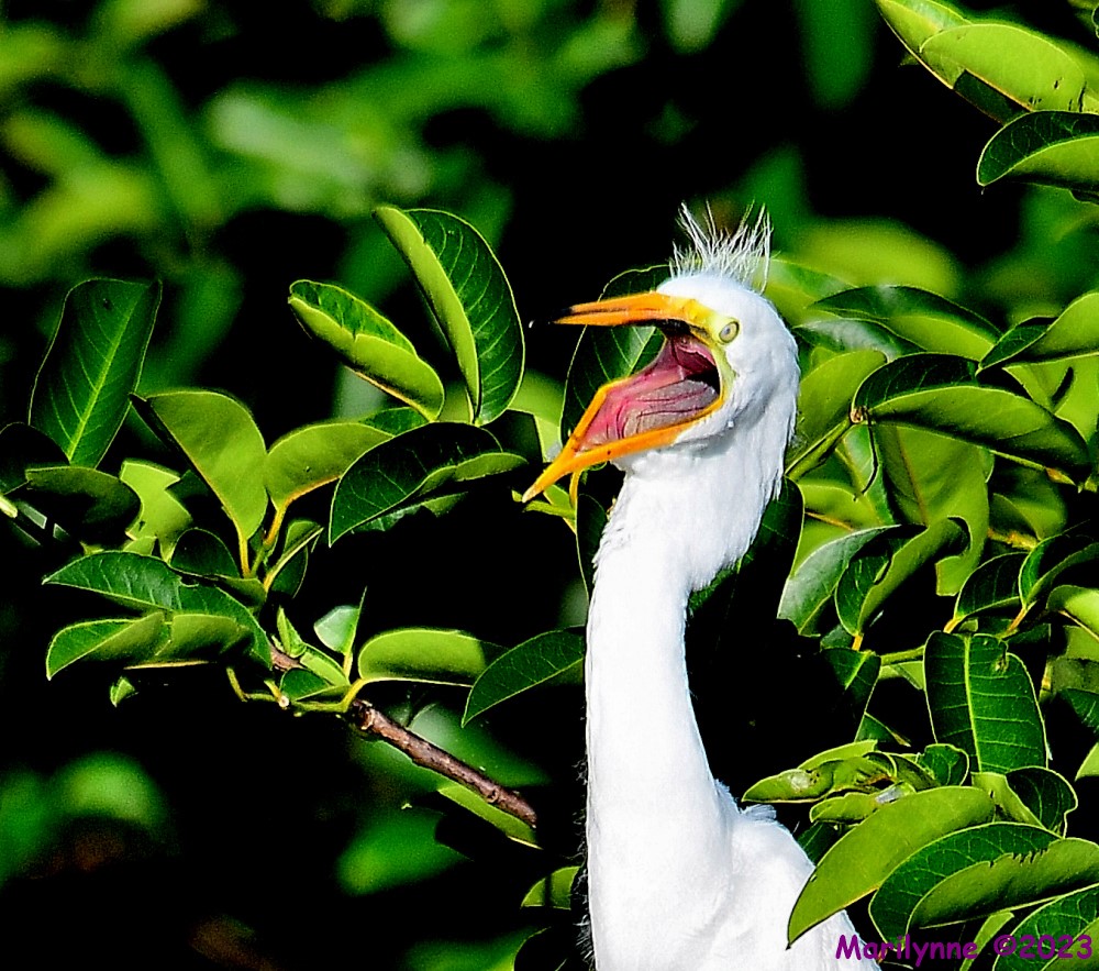 DSC_7628_001.JPG