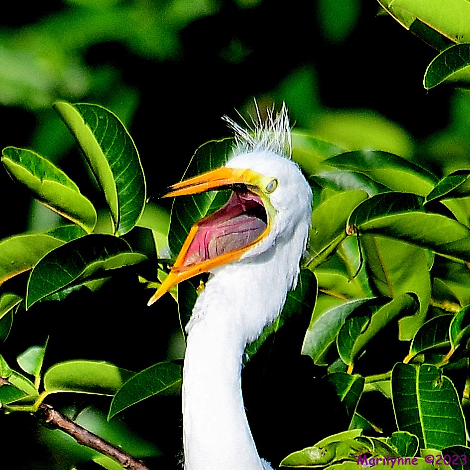 DSC_7629_001.JPG