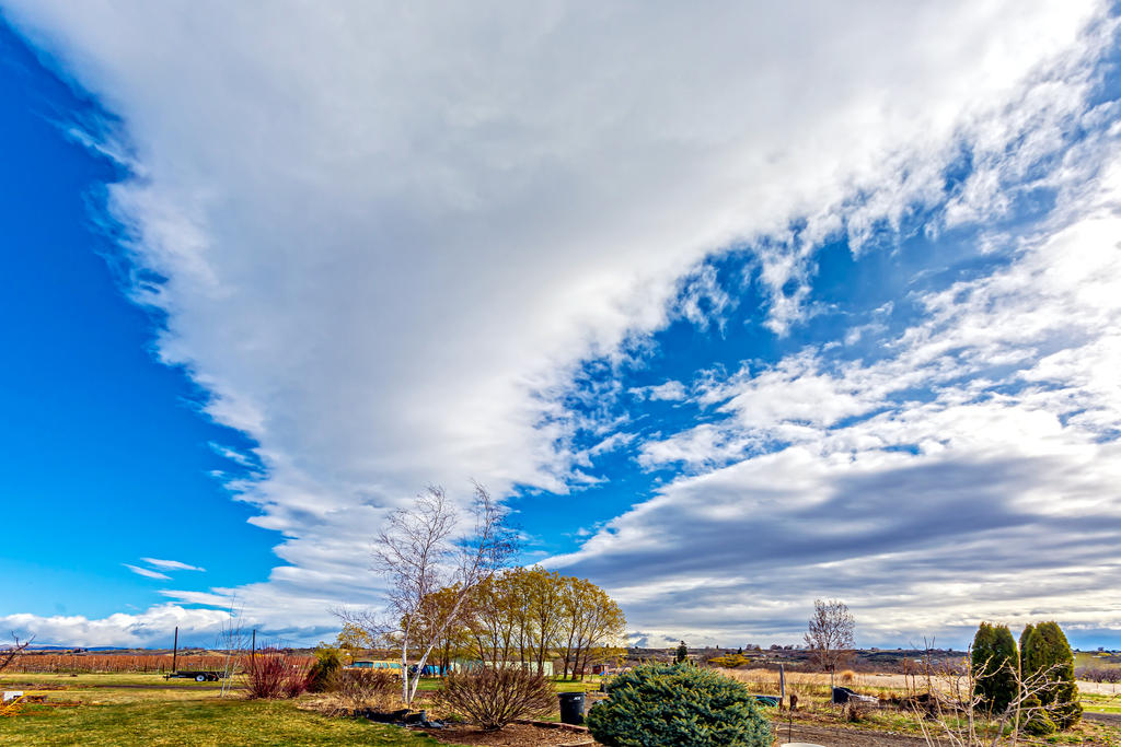 DSC_7631-Edit.jpg