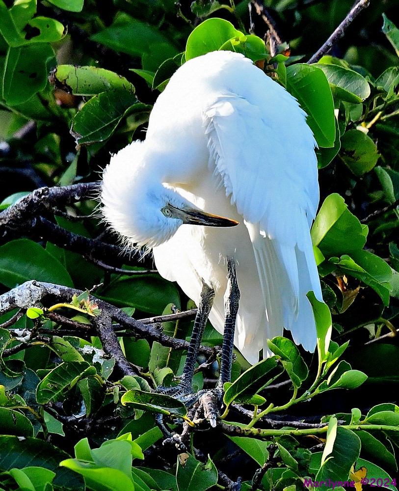 DSC_7632_001.JPG