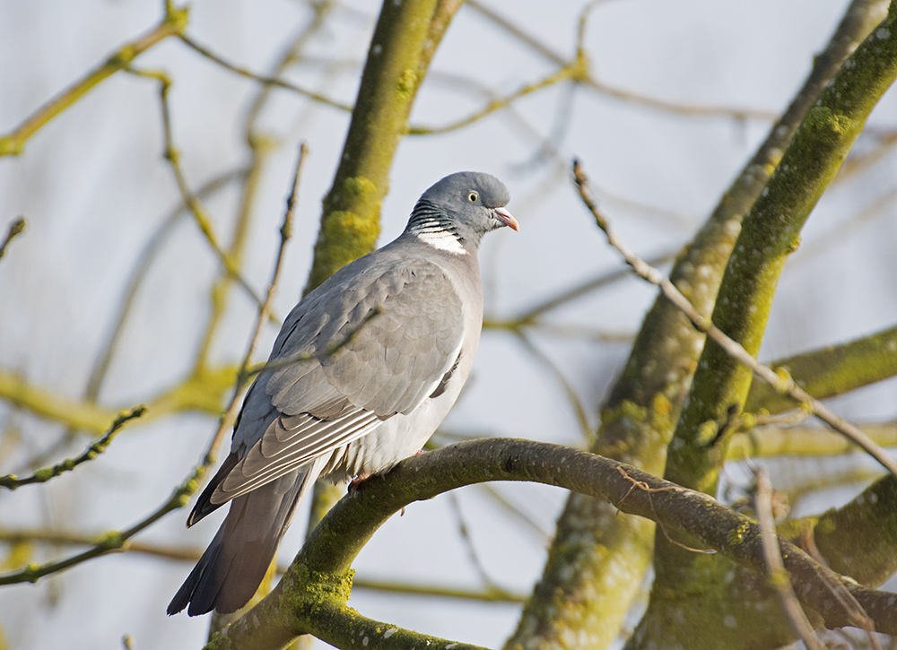 DSC_7634.jpg