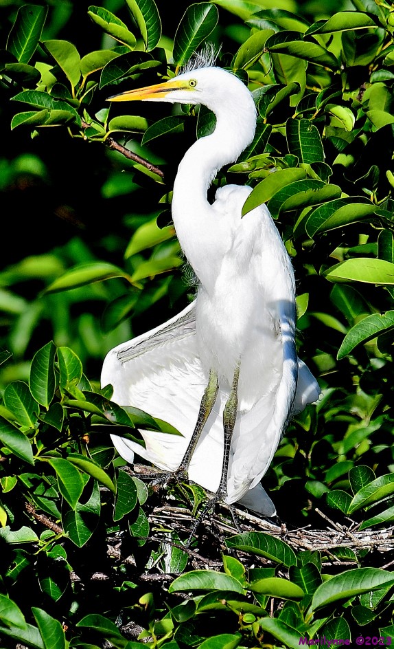 DSC_7635_001.JPG