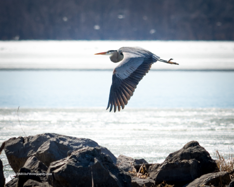 DSC_7637_10169.jpg