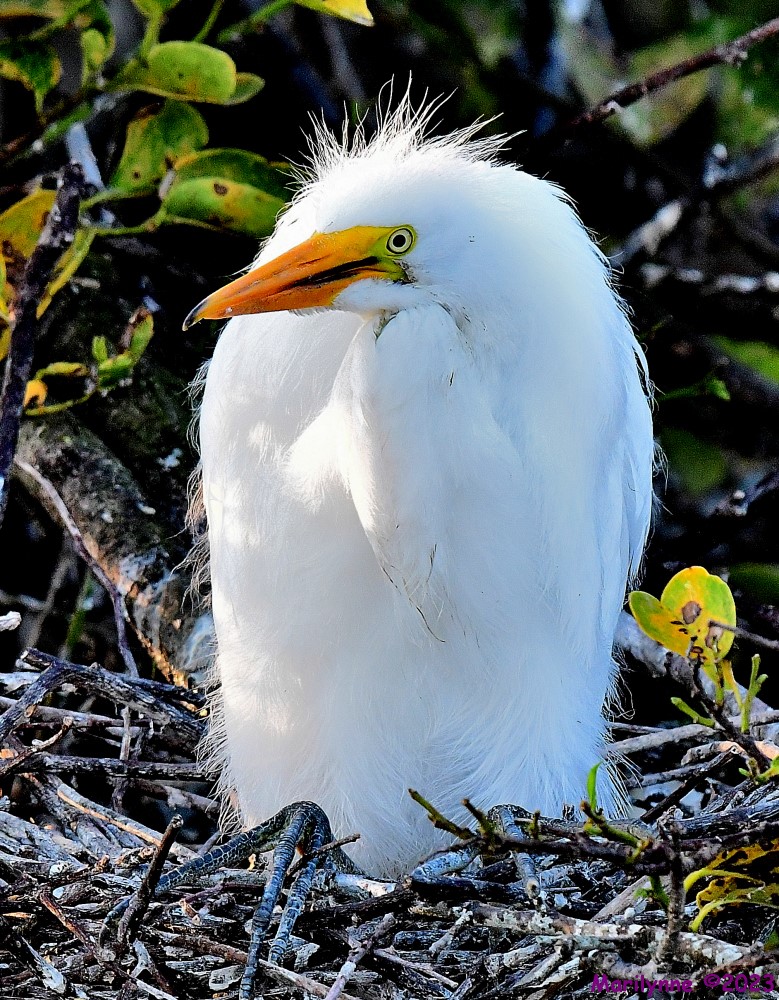 DSC_7638_001.JPG