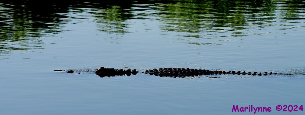 DSC_7638_stitch3_001.JPG