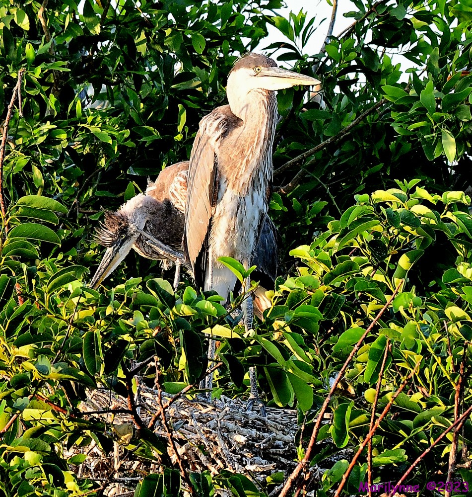 DSC_7640_001.JPG