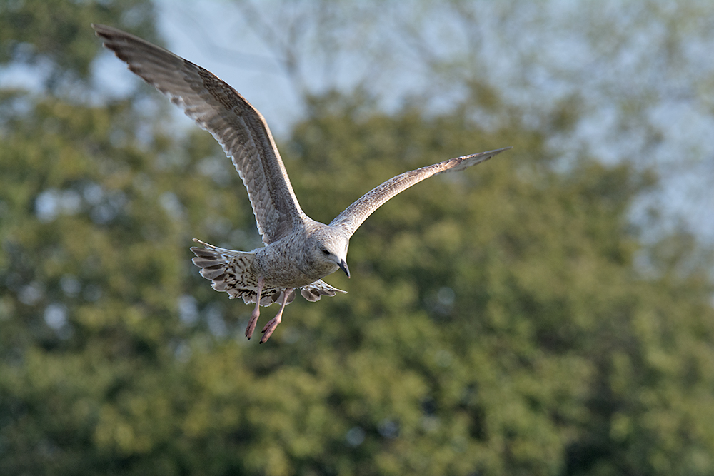 DSC_7641.jpg