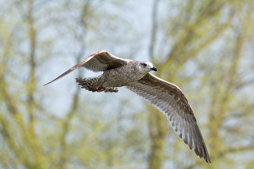DSC_7643.jpg