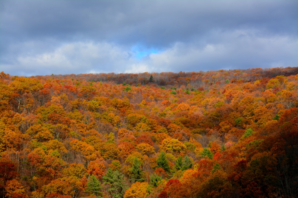 DSC_7644.JPG