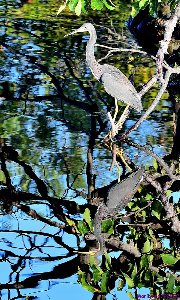 DSC_7644_001.JPG