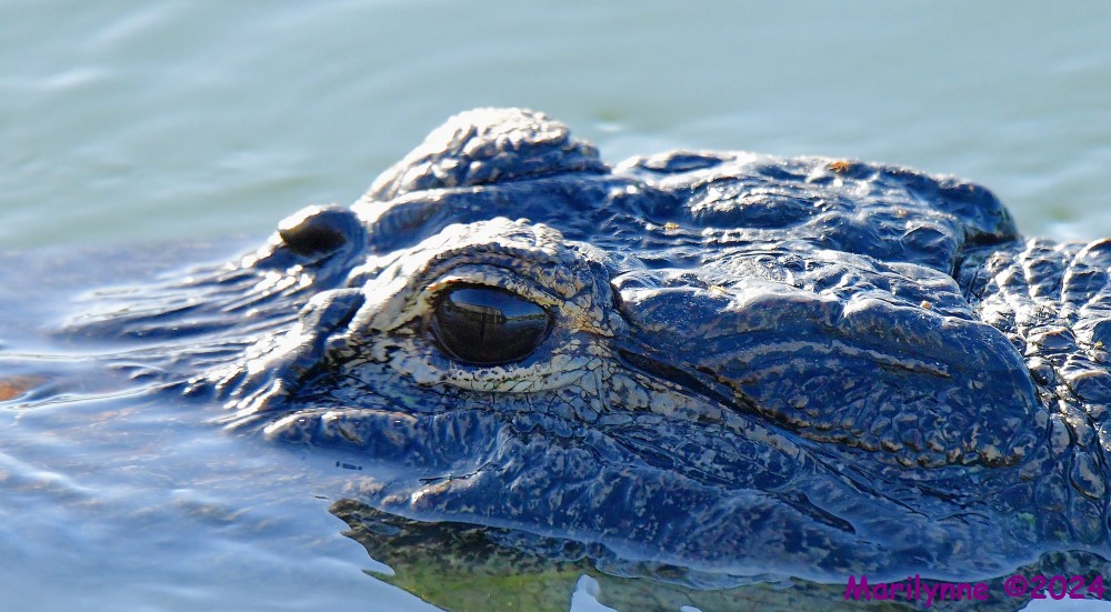 DSC_7645_stitch_001.JPG
