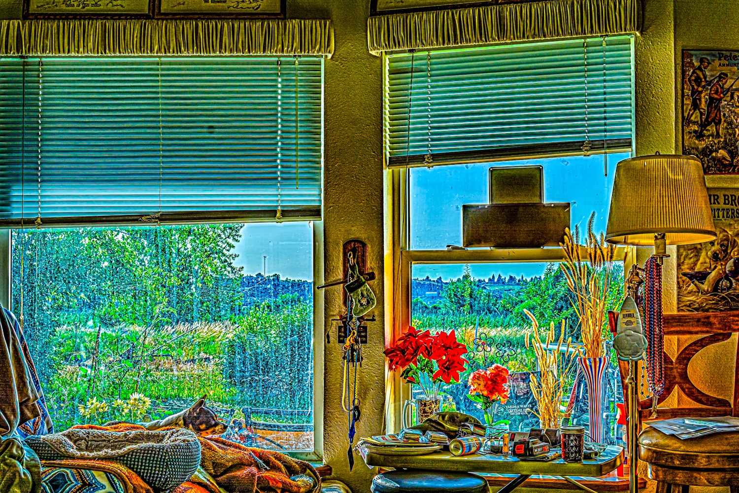 DSC_7646-Edit.jpg
