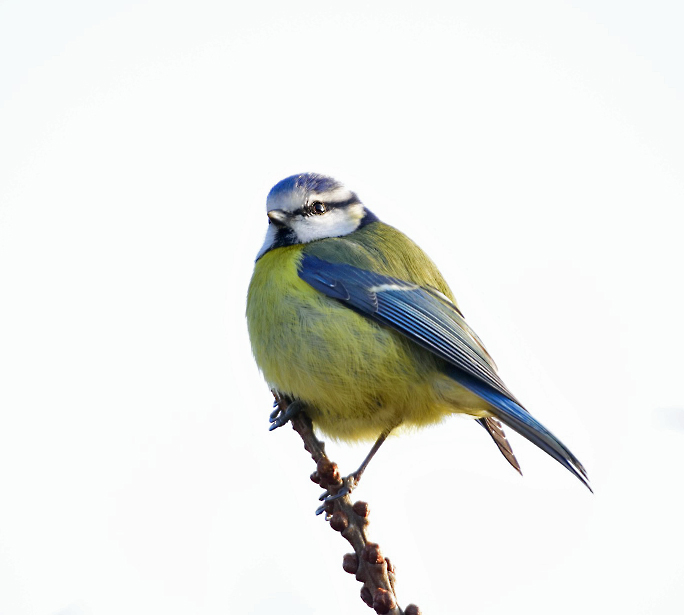 DSC_76462.jpg