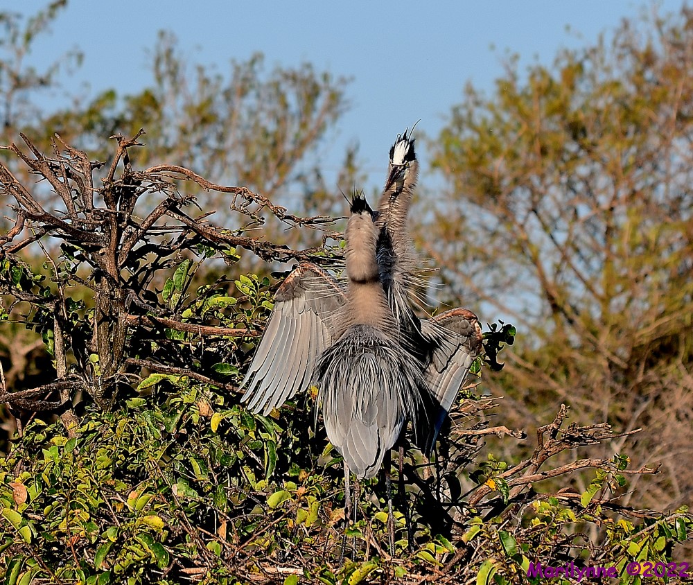 DSC_7648_001.JPG