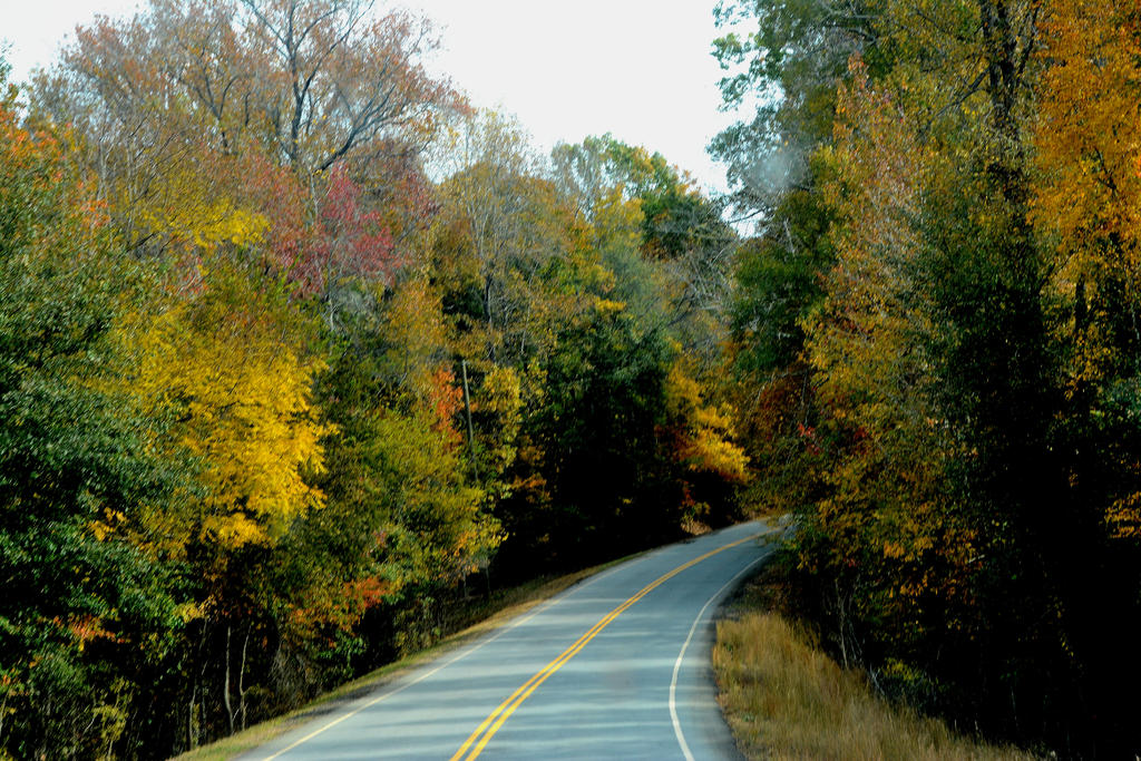 DSC_7649.jpg