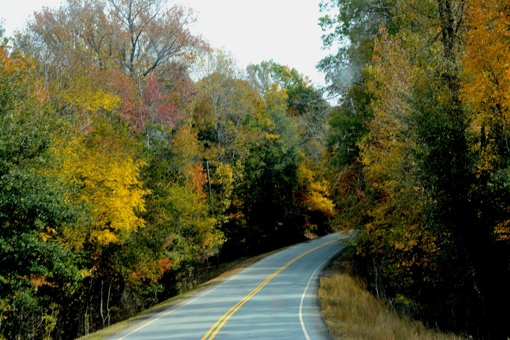 DSC_7649.JPG