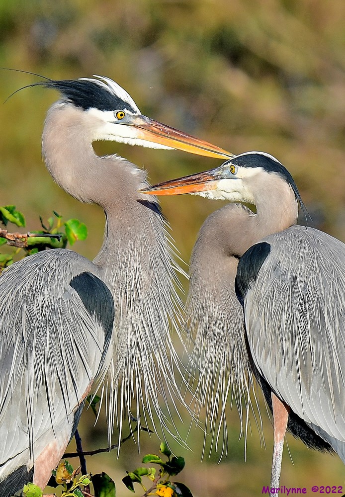 DSC_7650_001.JPG
