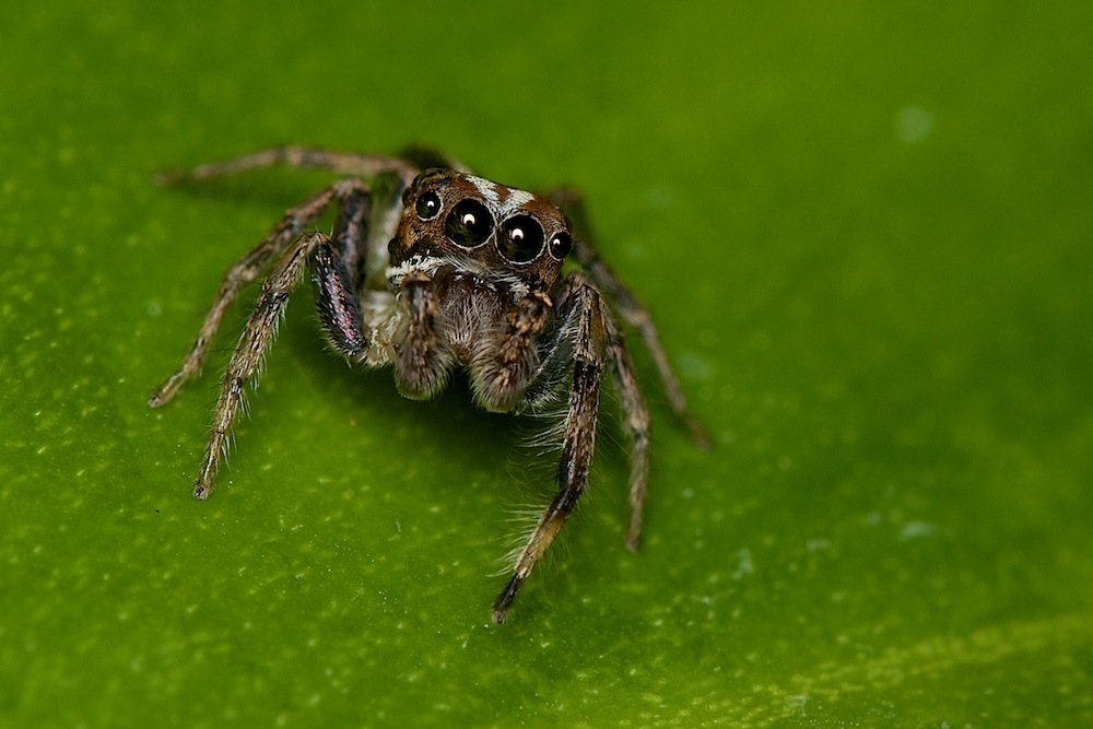DSC_7651.jpg