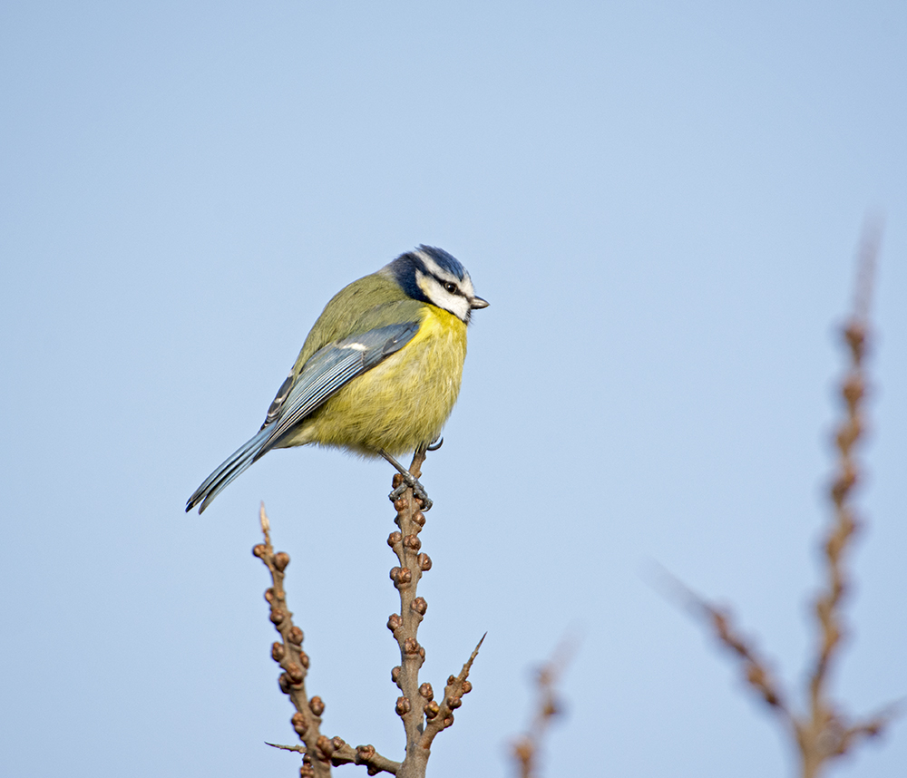 DSC_7651.jpg