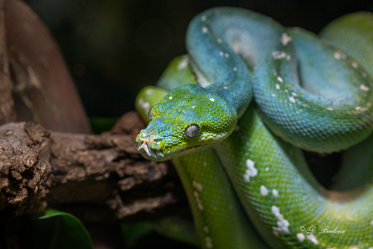 DSC_7651.jpg
