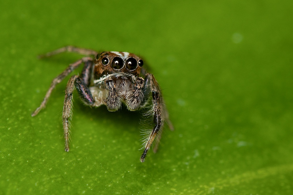 DSC_7653.jpg