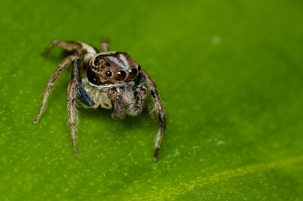 DSC_7654.jpg