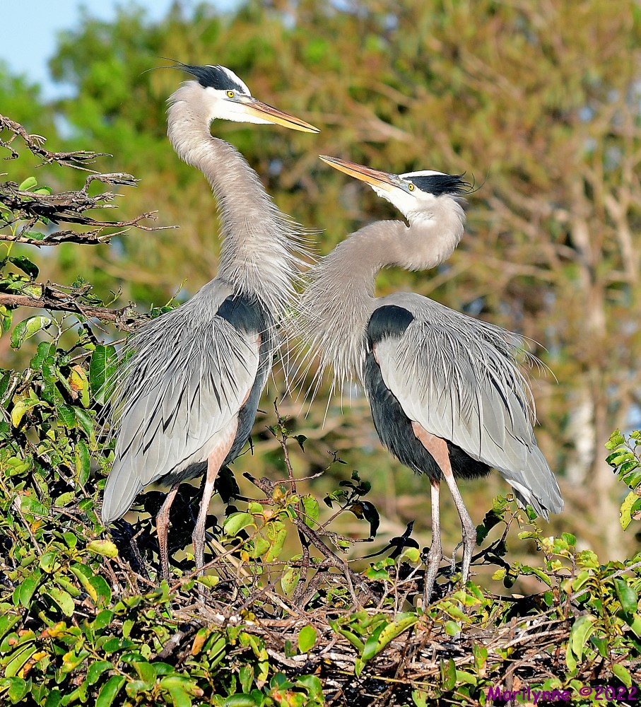 DSC_7654_001.JPG