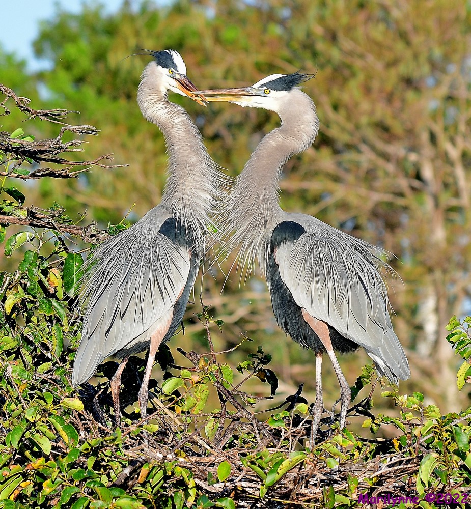 DSC_7656_001.JPG