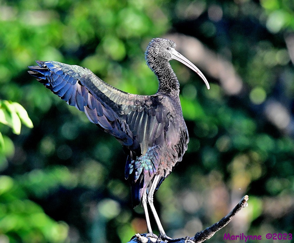 DSC_7660_001.JPG
