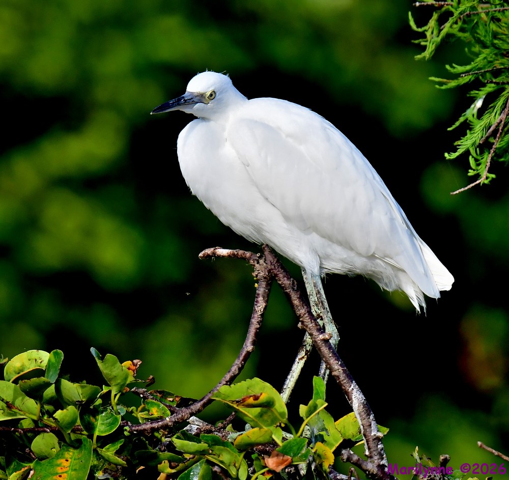 DSC_7660_001.JPG