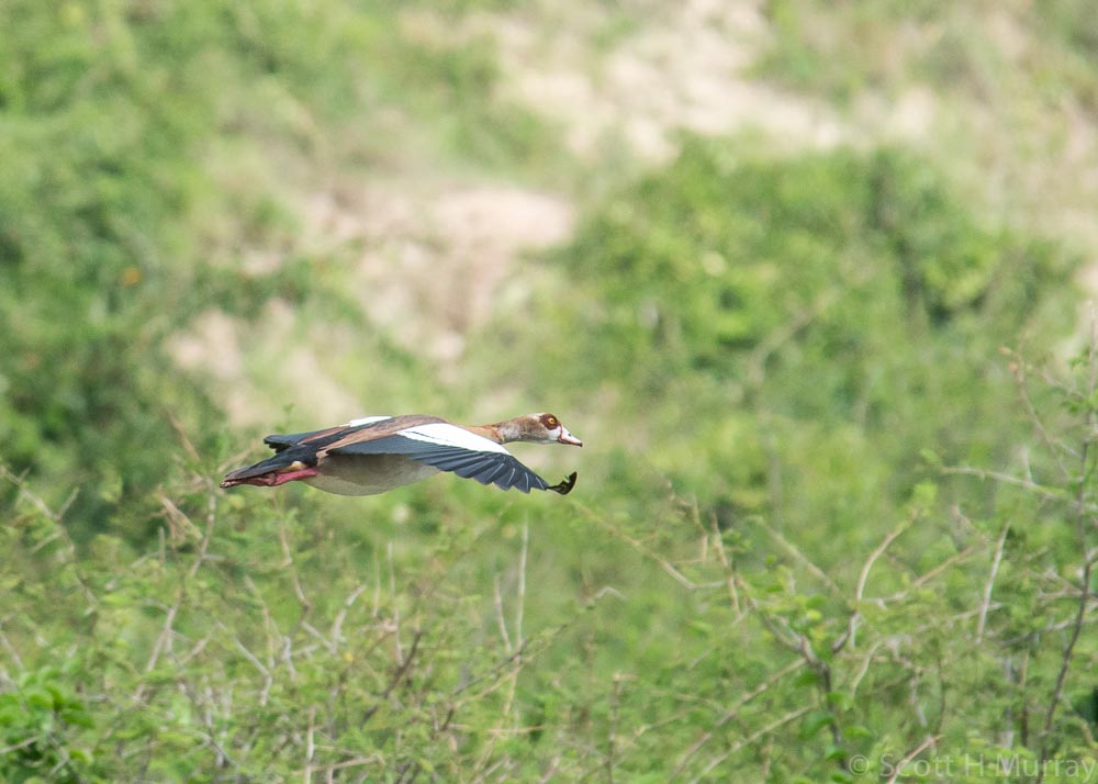 DSC_7669.jpg