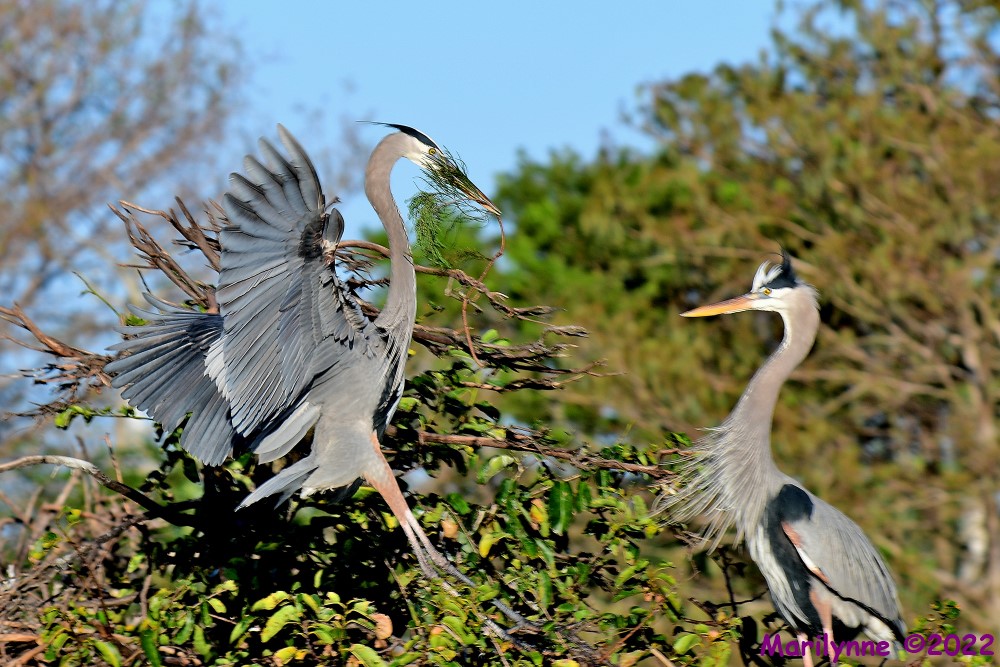 DSC_7669_001.JPG