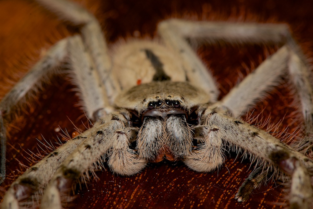 DSC_7670.jpg