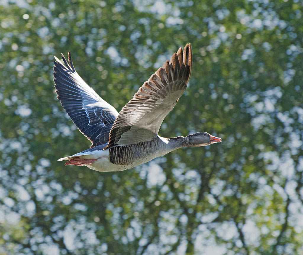 DSC_7672.jpg