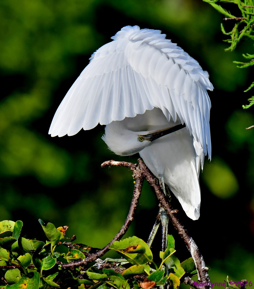 DSC_7674_001.JPG