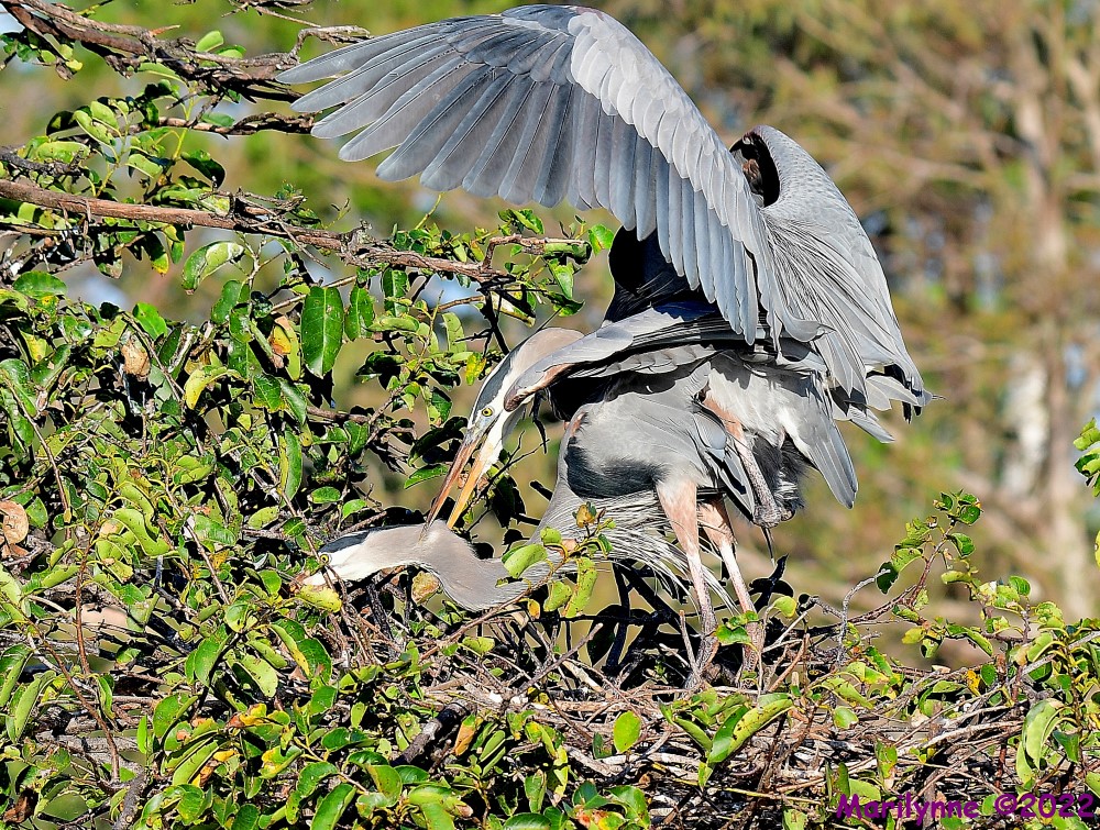 DSC_7675_001.JPG