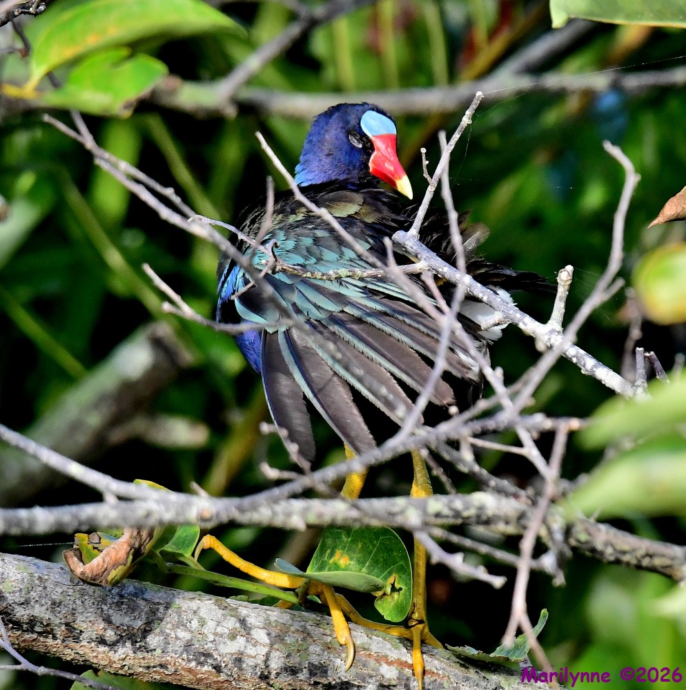 DSC_7683_001.JPG