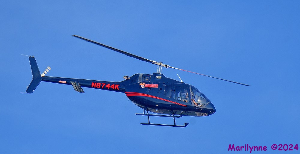 DSC_7684_001.JPG
