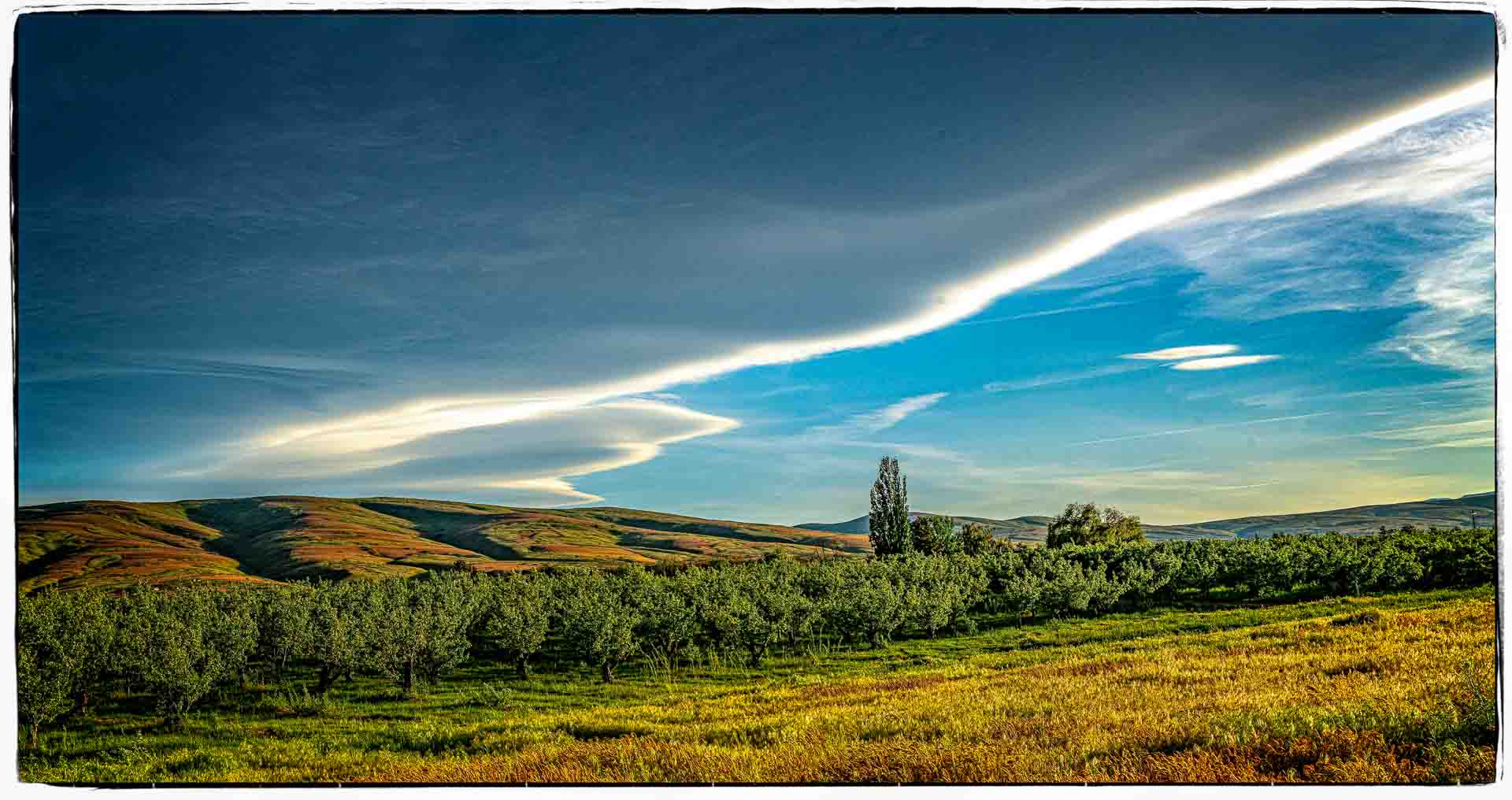 DSC_7685-Pano-Edit.jpg